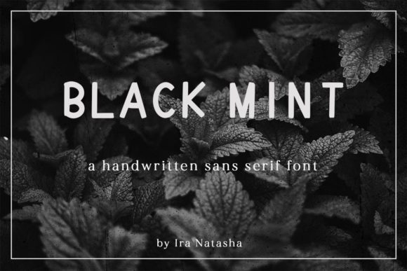 Black Mint: A Minimal Sans Serif Font for Campaigns