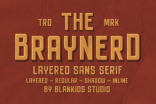 Braynerd Font Review: A Versatile Sans Serif for Campaigns