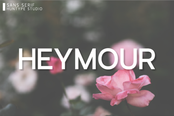 Heymour: A Clean Sans Serif Font for Strong Brand Identity