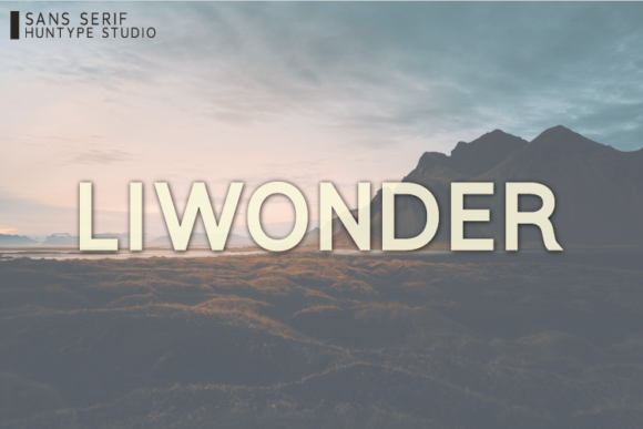 Liwonder: The Bold Sans Serif Font for Clear Campaigns