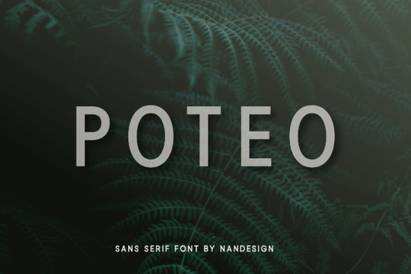 Poteo: The Modern Sans Serif Font for Scroll-Stopping Designs