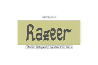 Razeer: The Playful Sans Serif Font for Memorable Brands
