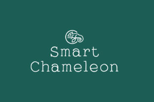 Smart Chameleon: The Perfect Serif Font for Handmade Brands