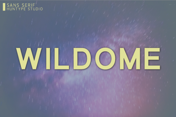Wildome: A Bold Sans Serif Typeface for Modern Editorial Design